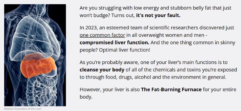 hepatoburn work